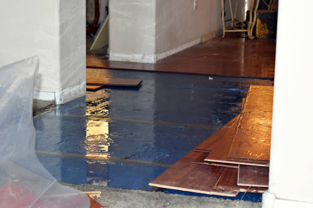 Professional Burst Pipe Cleanup technician working in Columbus, NJ
